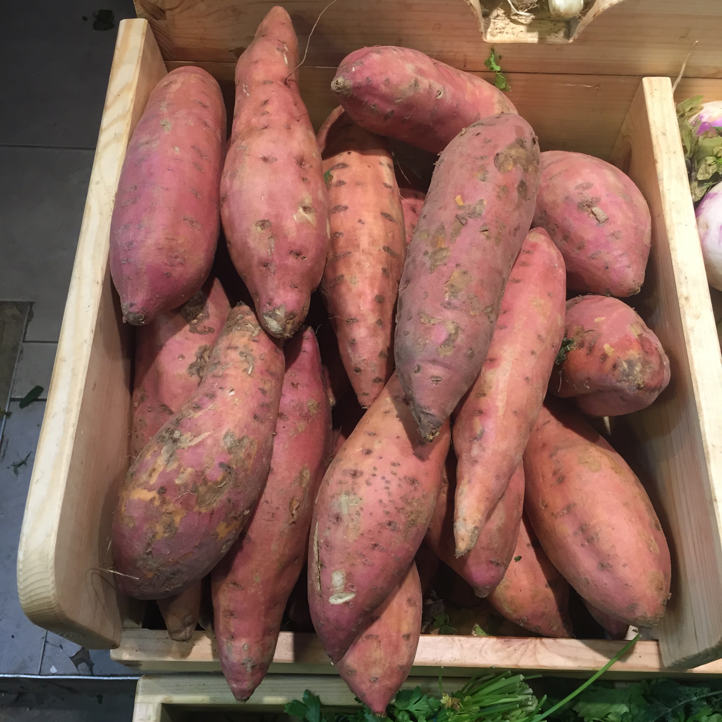 Market Shapes and Colors by Mel Rosenberg - מל רוזנברג - Ourboox.com