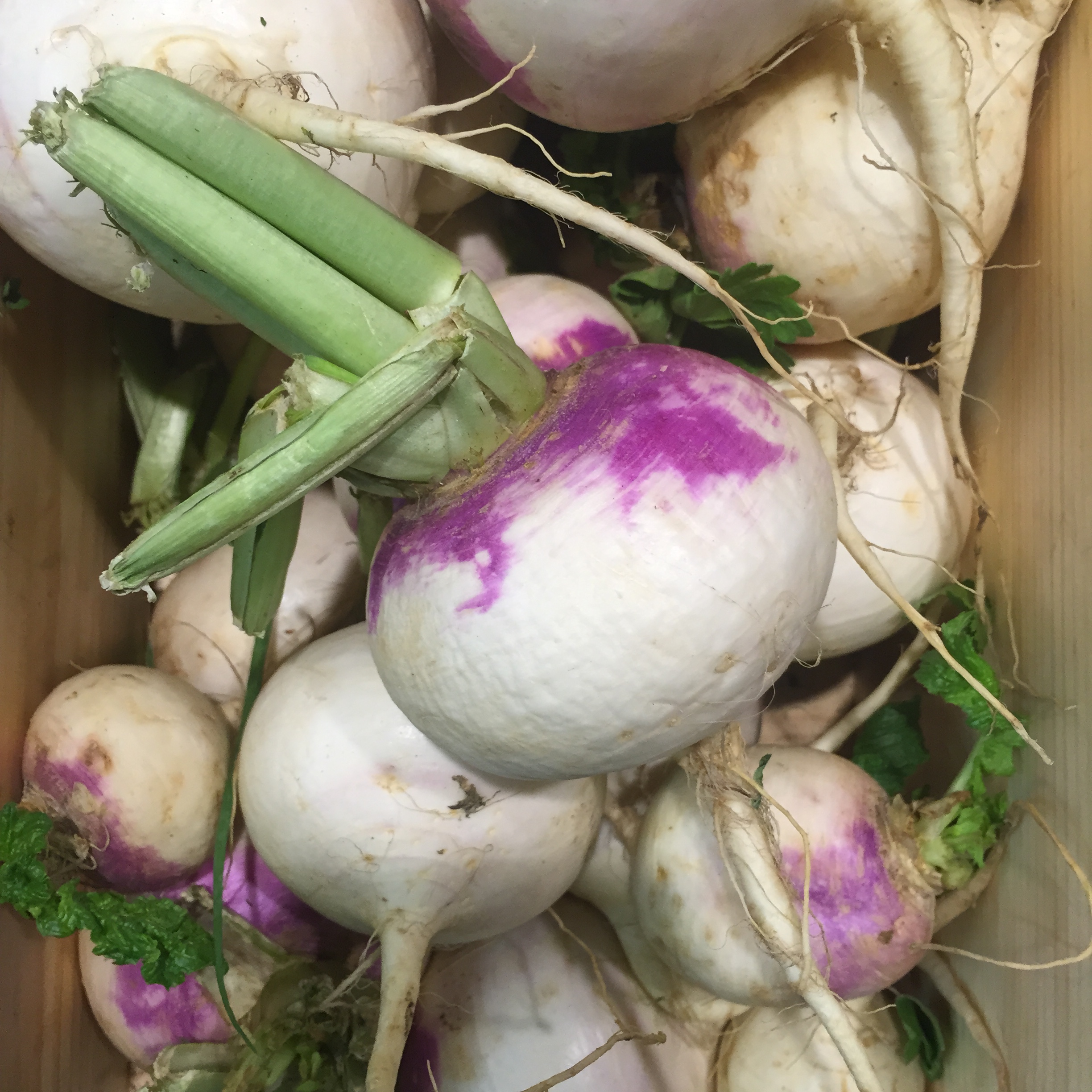 Market Shapes and Colors by Mel Rosenberg - מל רוזנברג - Ourboox.com