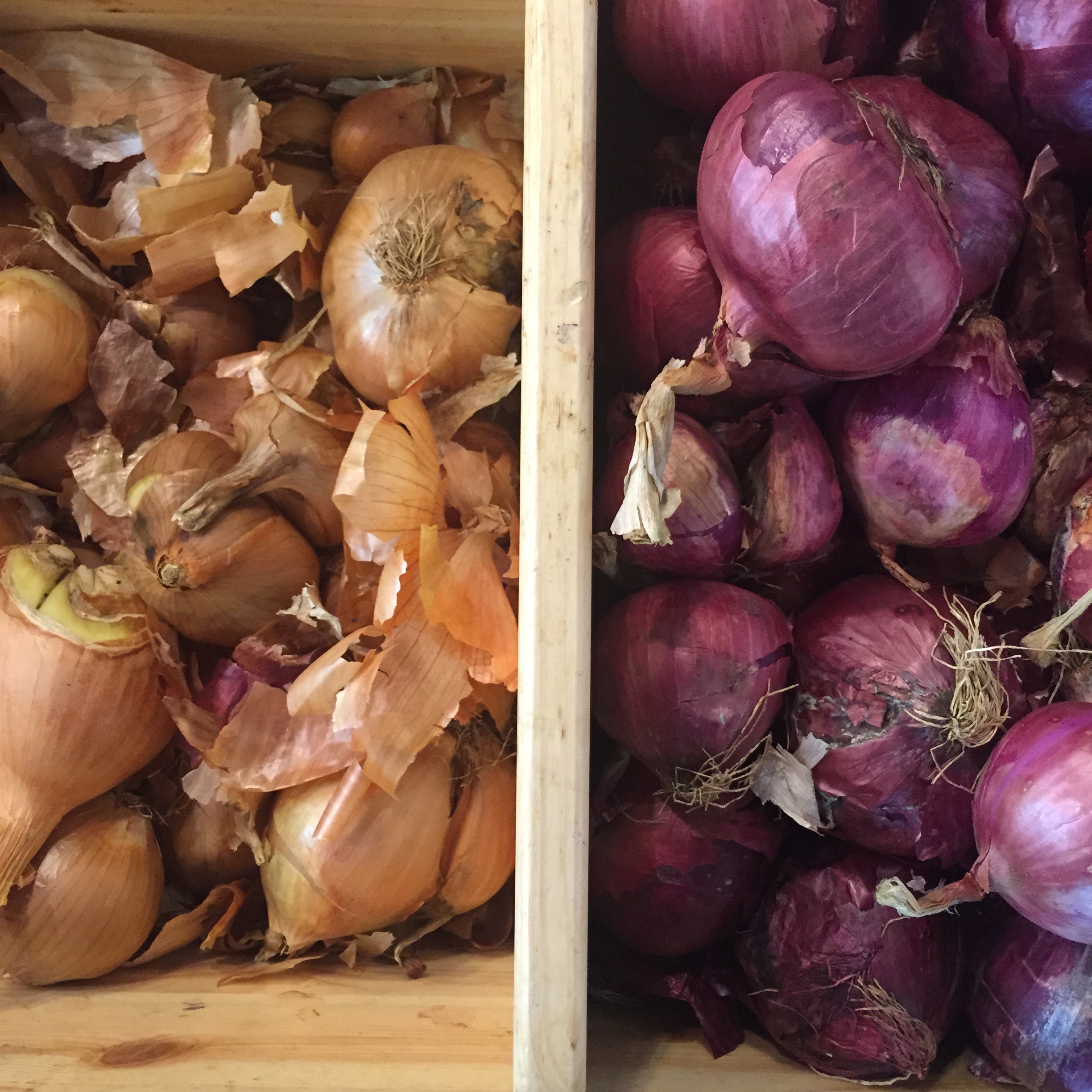 Market Shapes and Colors by Mel Rosenberg - מל רוזנברג - Ourboox.com