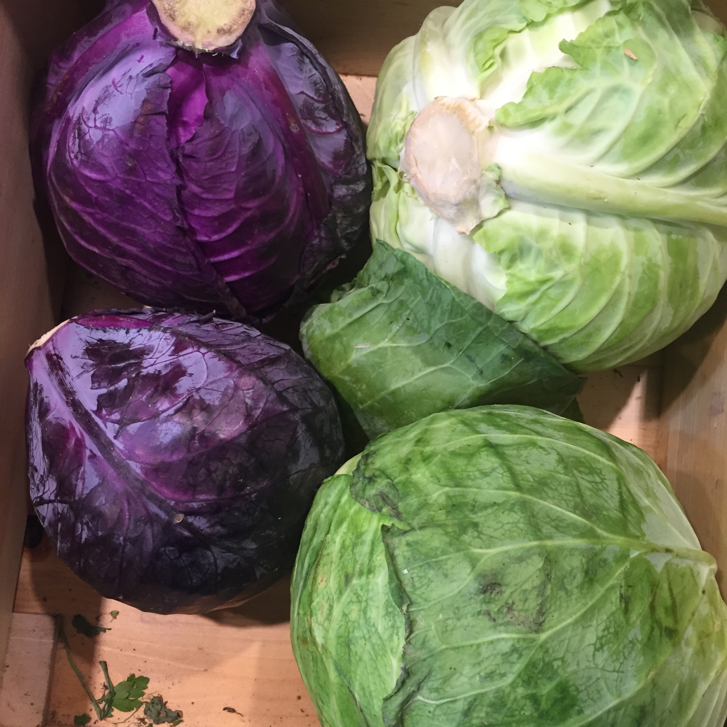 Market Shapes and Colors by Mel Rosenberg - מל רוזנברג - Ourboox.com