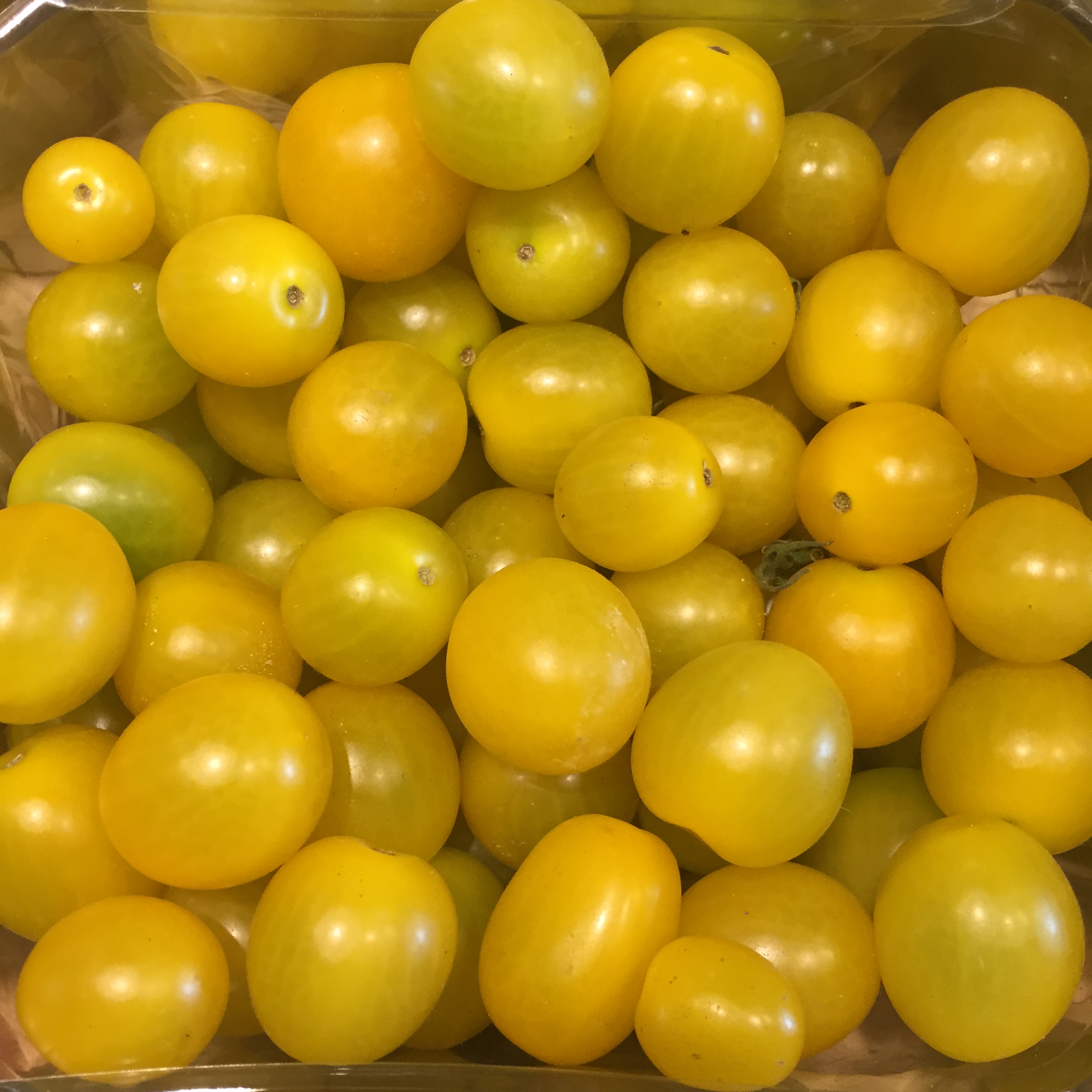 Market Shapes and Colors by Mel Rosenberg - מל רוזנברג - Ourboox.com