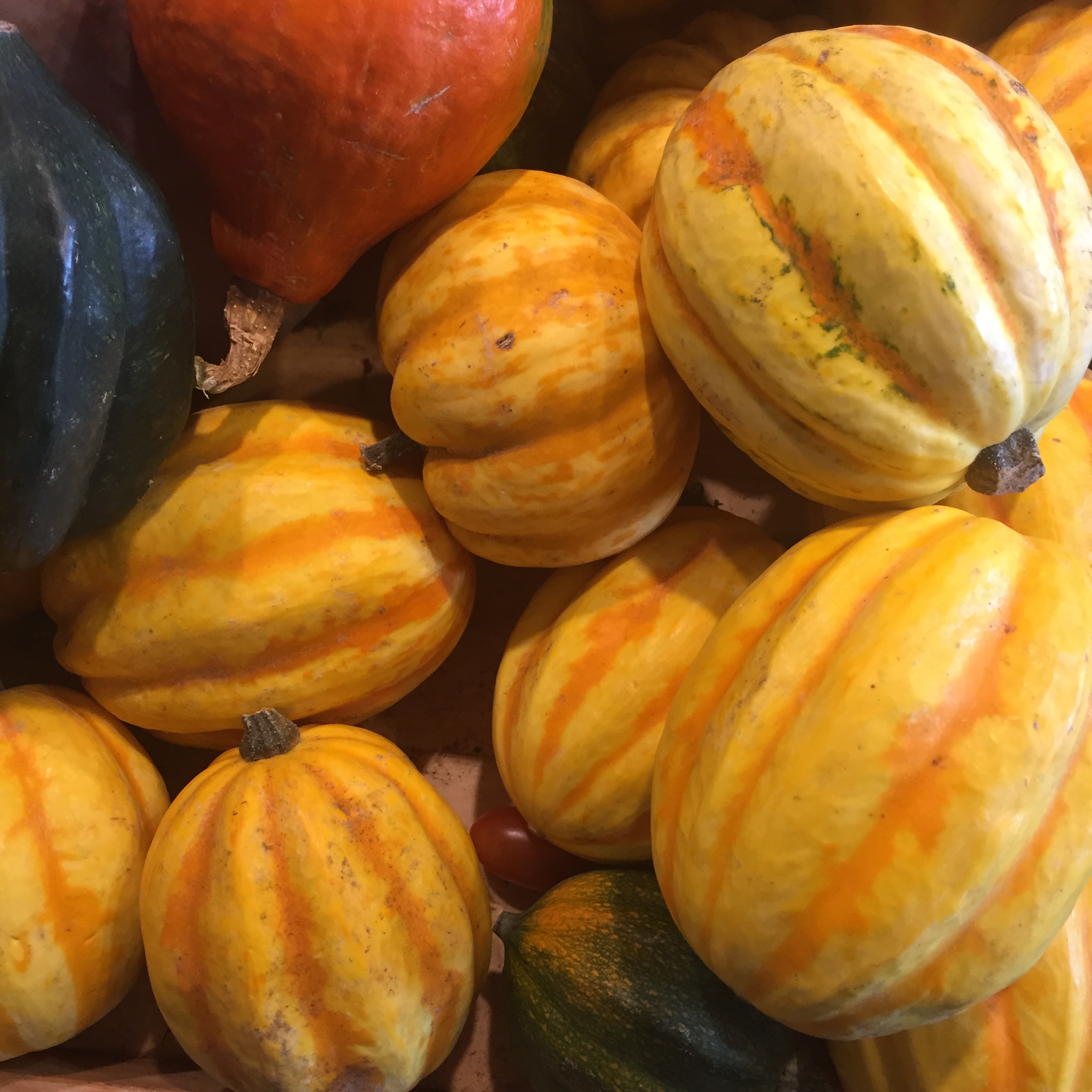 Market Shapes and Colors by Mel Rosenberg - מל רוזנברג - Ourboox.com