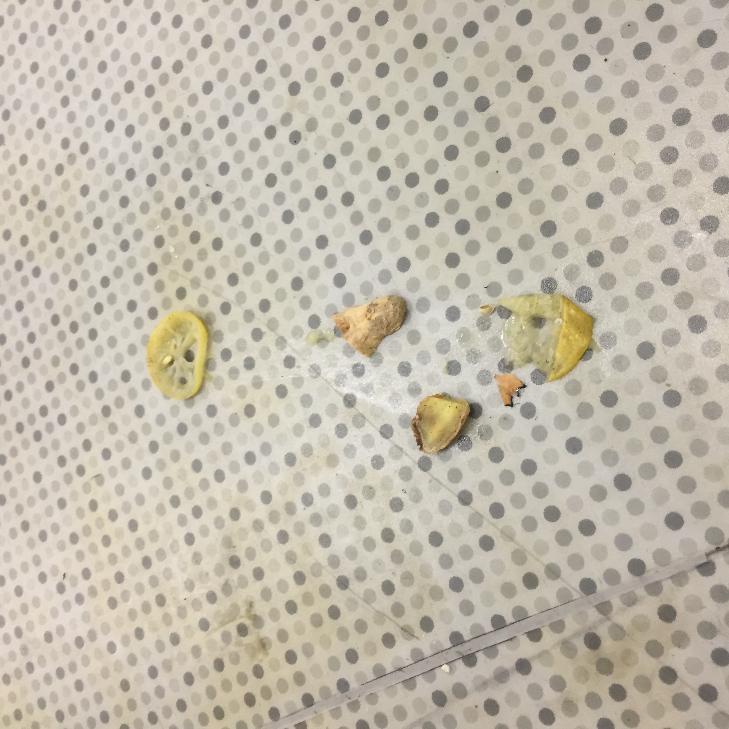 On the Fashion Floor, at Shenkar College by Mel Rosenberg - מל רוזנברג - Ourboox.com