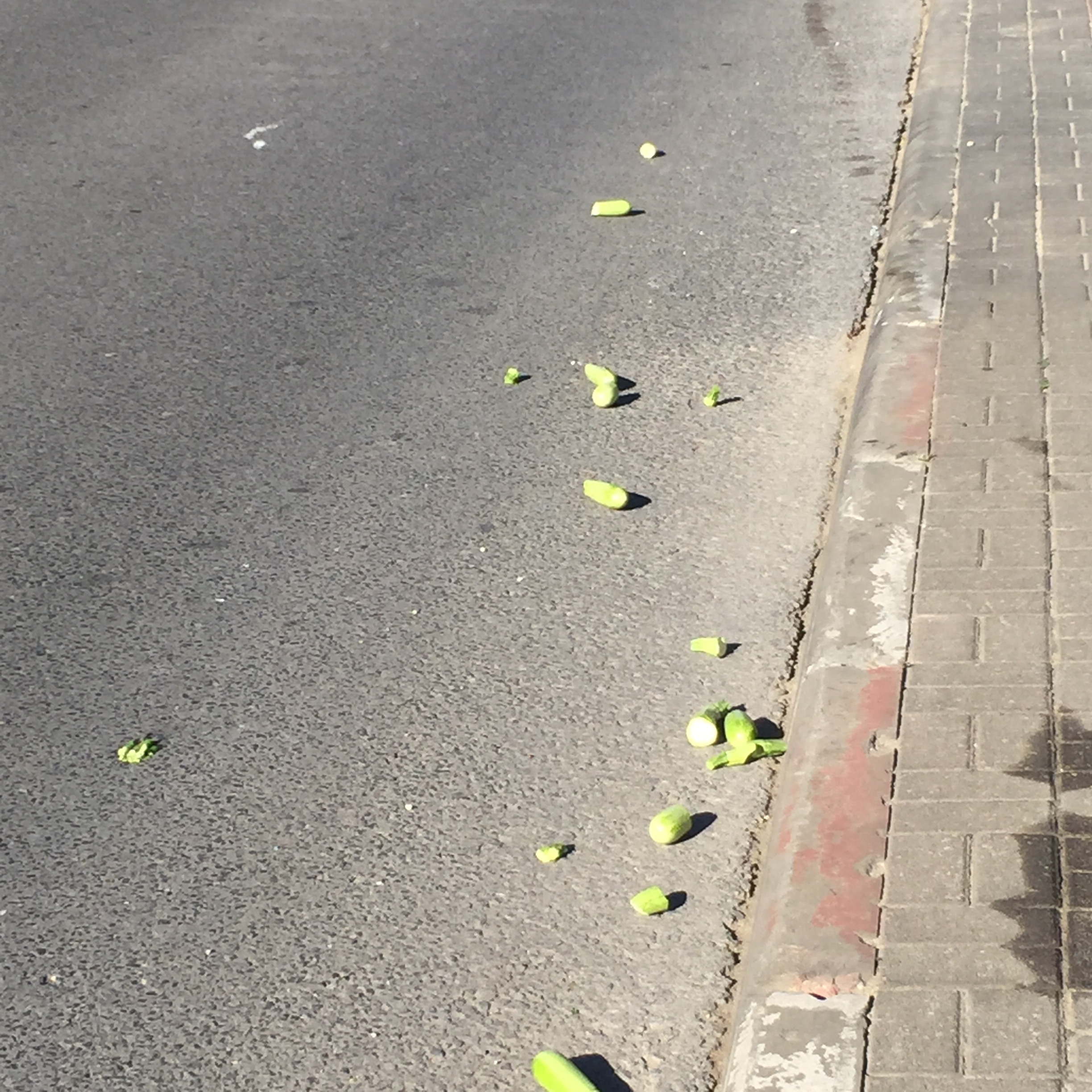 North Tel Aviv, Friday morning in December by Mel Rosenberg - מל רוזנברג - Ourboox.com