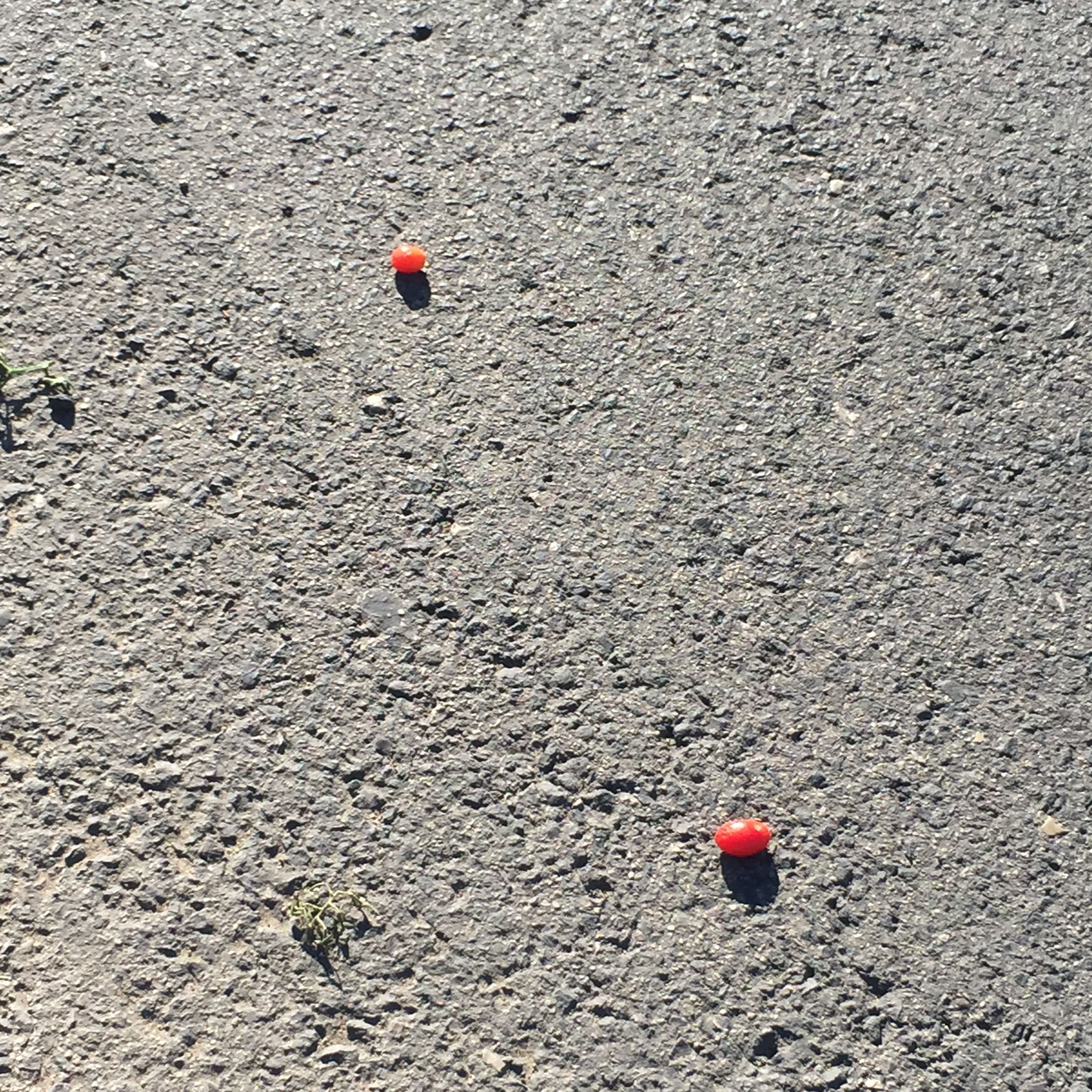 North Tel Aviv, Friday morning in December by Mel Rosenberg - מל רוזנברג - Ourboox.com