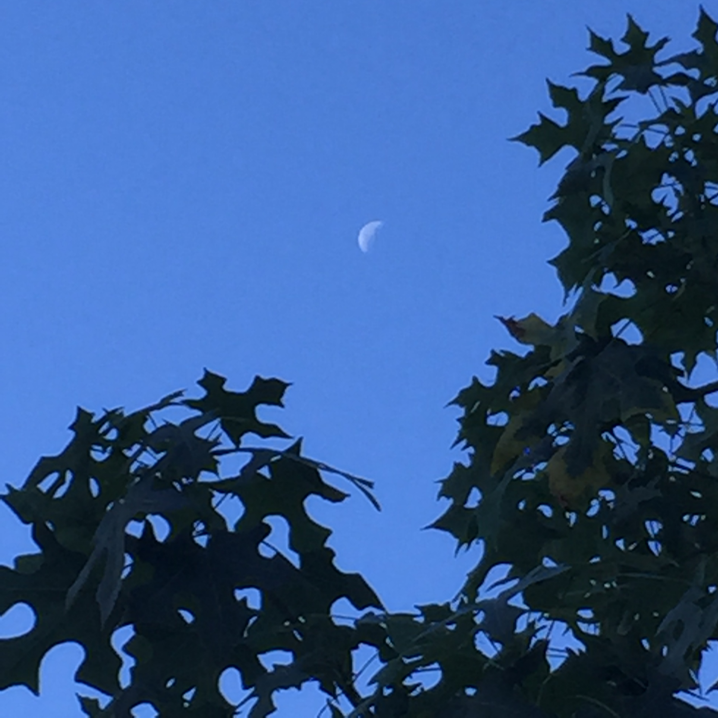 North Tel Aviv, Friday morning in December by Mel Rosenberg - מל רוזנברג - Ourboox.com
