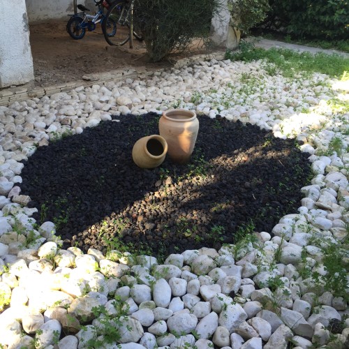 North Tel Aviv, Friday morning in December by Mel Rosenberg - מל רוזנברג - Ourboox.com