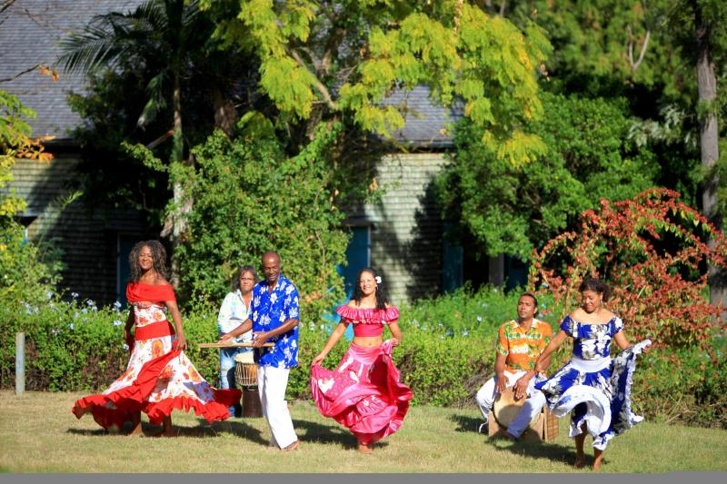 Les Départements et Régions d’Outre-Mer by IREVA  - Illustrated by Federica Marchini, Sara Pizzi, Francesca Bozzoli, Adam  Chierici, Jessica Tinti, Samuele Pellicciari - Ourboox.com