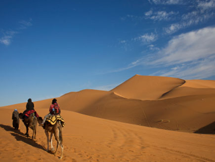 wolverine’s sun by Ariel - Illustrated by Ariel ben oved and Nadav dagan - Ourboox.com