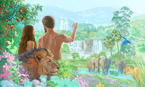 בריאת העולם by hadas weiner - Illustrated by הדס ירושלמי - Ourboox.com