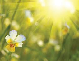 הספר הדיגיטלי שלנו by ruth meshulam tiram - Ourboox.com