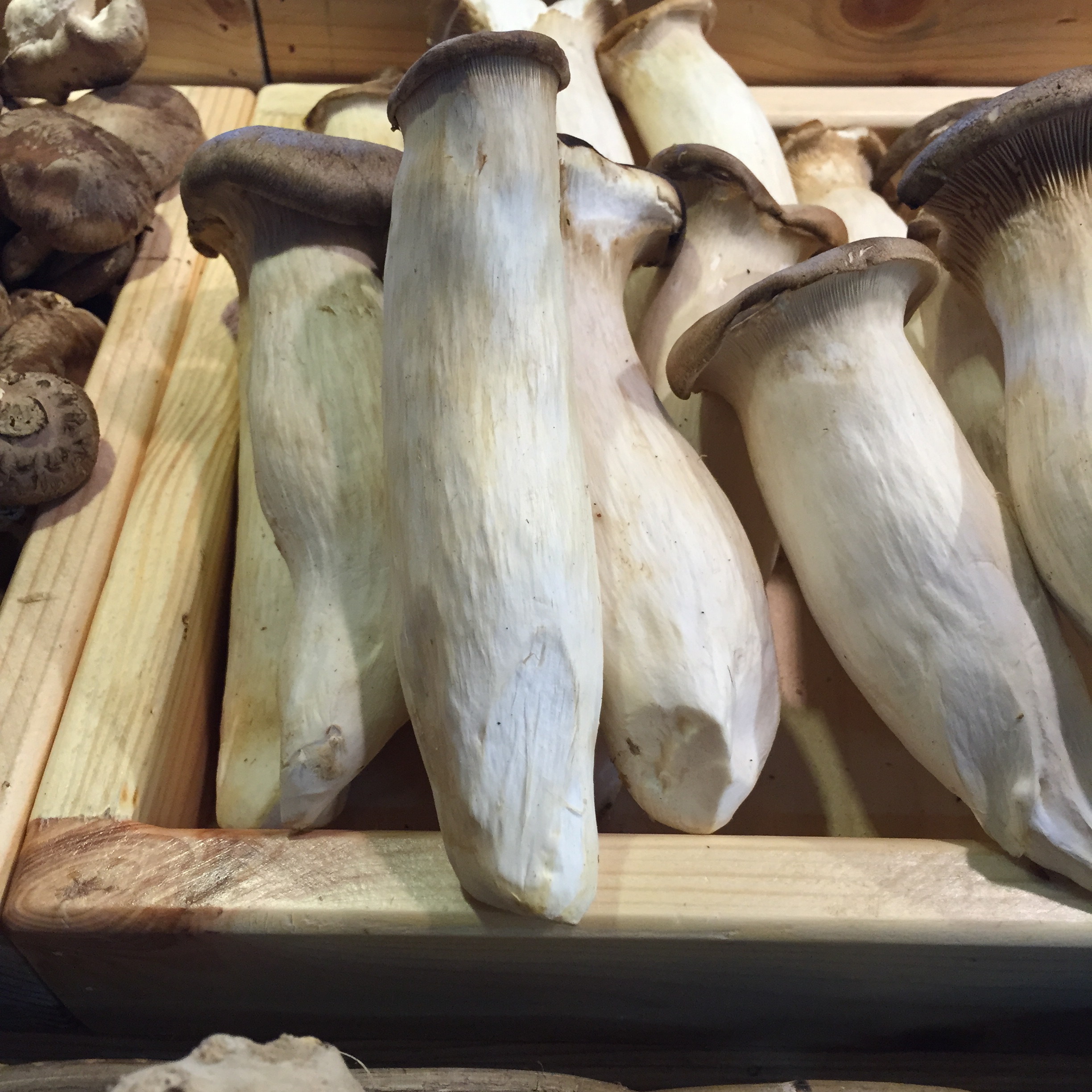 Market Shapes and Colors by Mel Rosenberg - מל רוזנברג - Ourboox.com