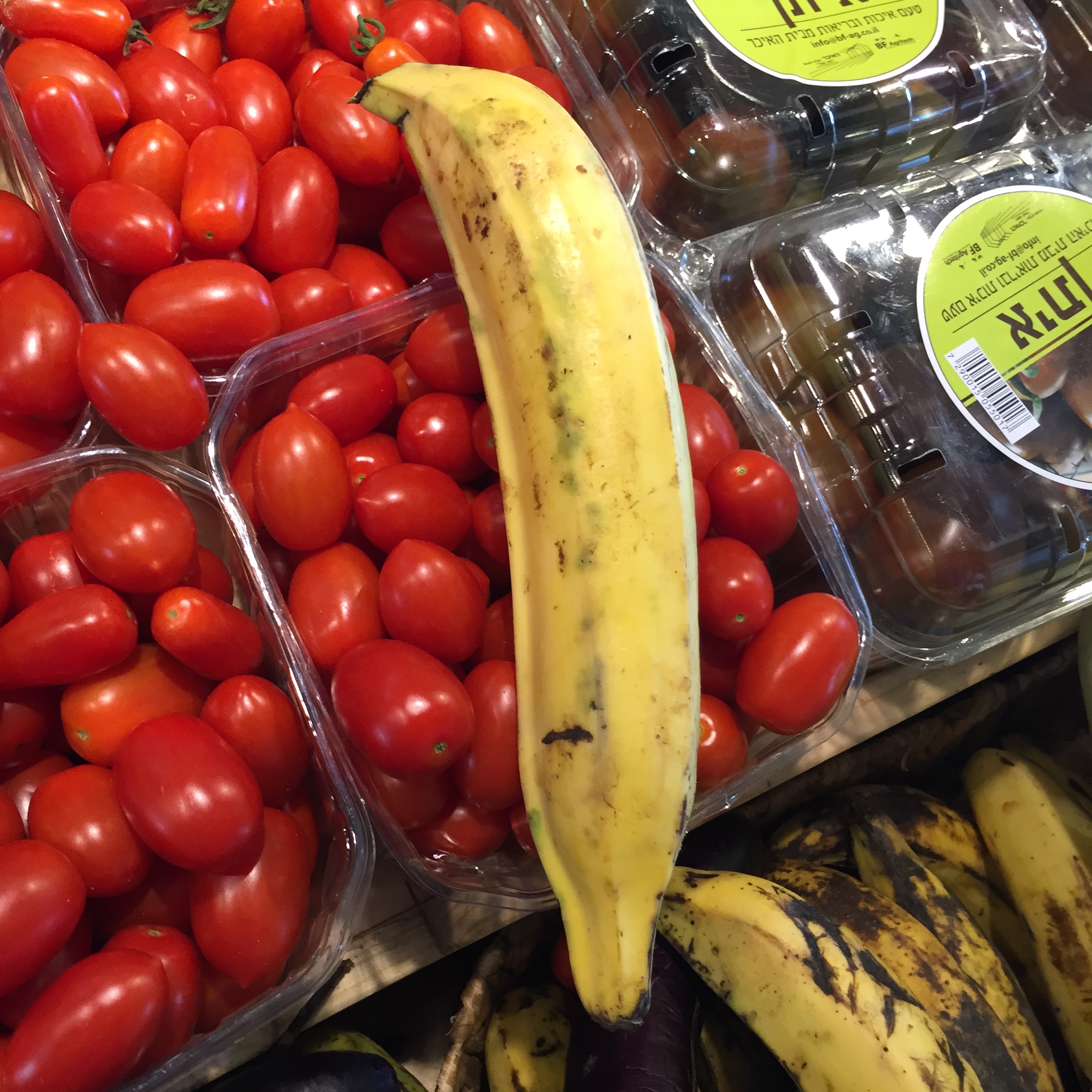 Market Shapes and Colors by Mel Rosenberg - מל רוזנברג - Ourboox.com