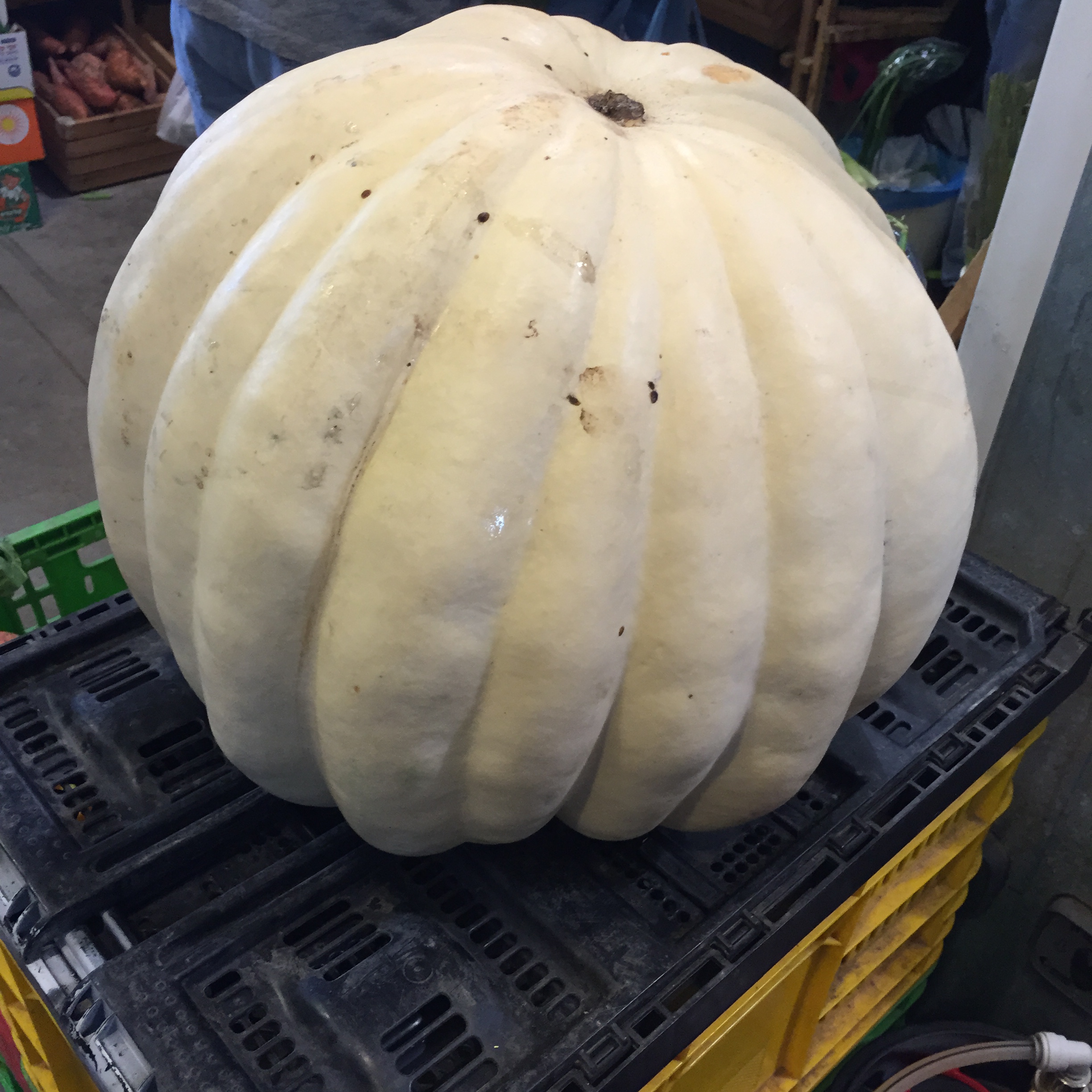 Market Shapes and Colors by Mel Rosenberg - מל רוזנברג - Ourboox.com