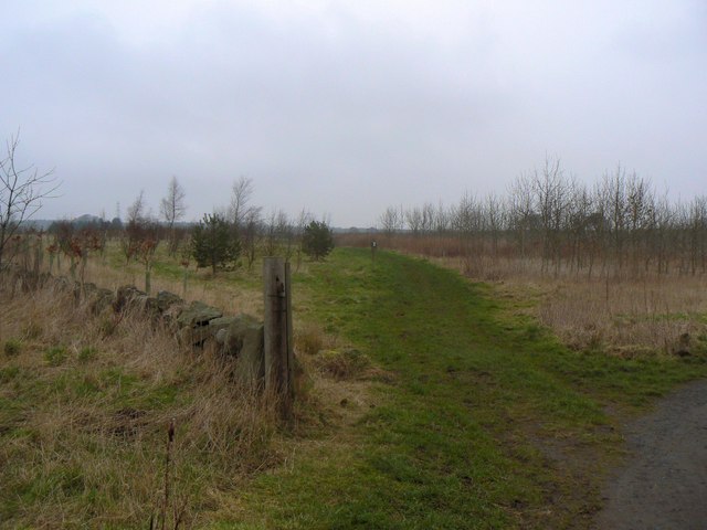 The Road not Taken by Yael Bittan - Ourboox.com