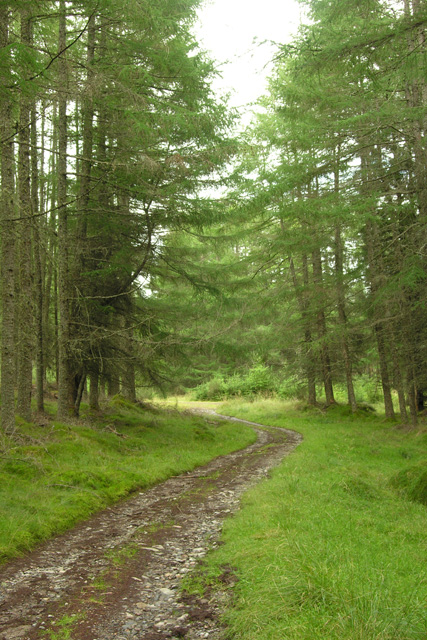 The Road not Taken by Yael Bittan - Ourboox.com