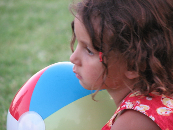 הגן החיות של דנה by dorit volchek - Ourboox.com