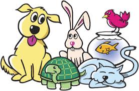 My favorite day by Tali Shabi - Ourboox.com