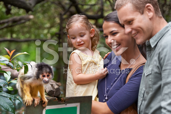 הגן החיות של דנה by dorit volchek - Ourboox.com