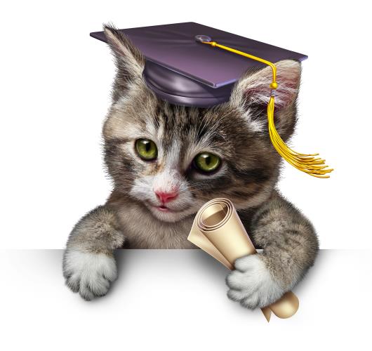 WE CAN DO IT by Mor Shachar - Illustrated by Lior Anitz, Nurit Ashkenazi, Renee Brandwein & Mor Shachar - Ourboox.com