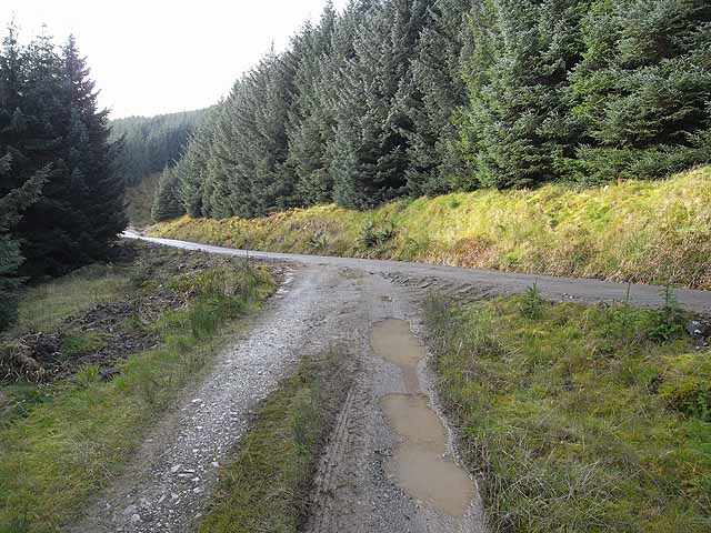 The Road Not Taken by Rachel Mizrachi - Ourboox.com