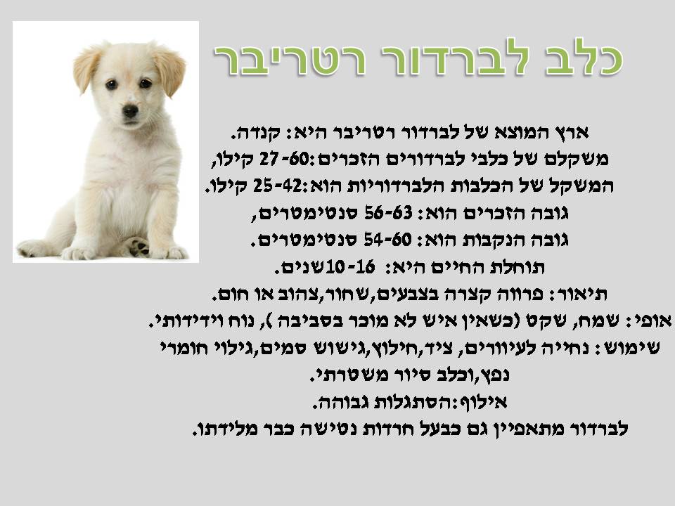 אקדמיה: כתבים צעירים כתות ג, ד by young writers - Illustrated by חברי ועדת אקדמיה כתבים צעירים - Ourboox.com