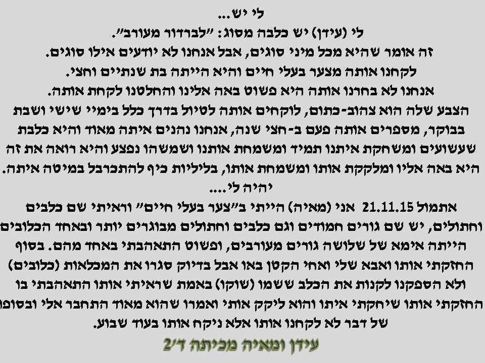 אקדמיה: כתבים צעירים כתות ג, ד by young writers - Illustrated by חברי ועדת אקדמיה כתבים צעירים - Ourboox.com