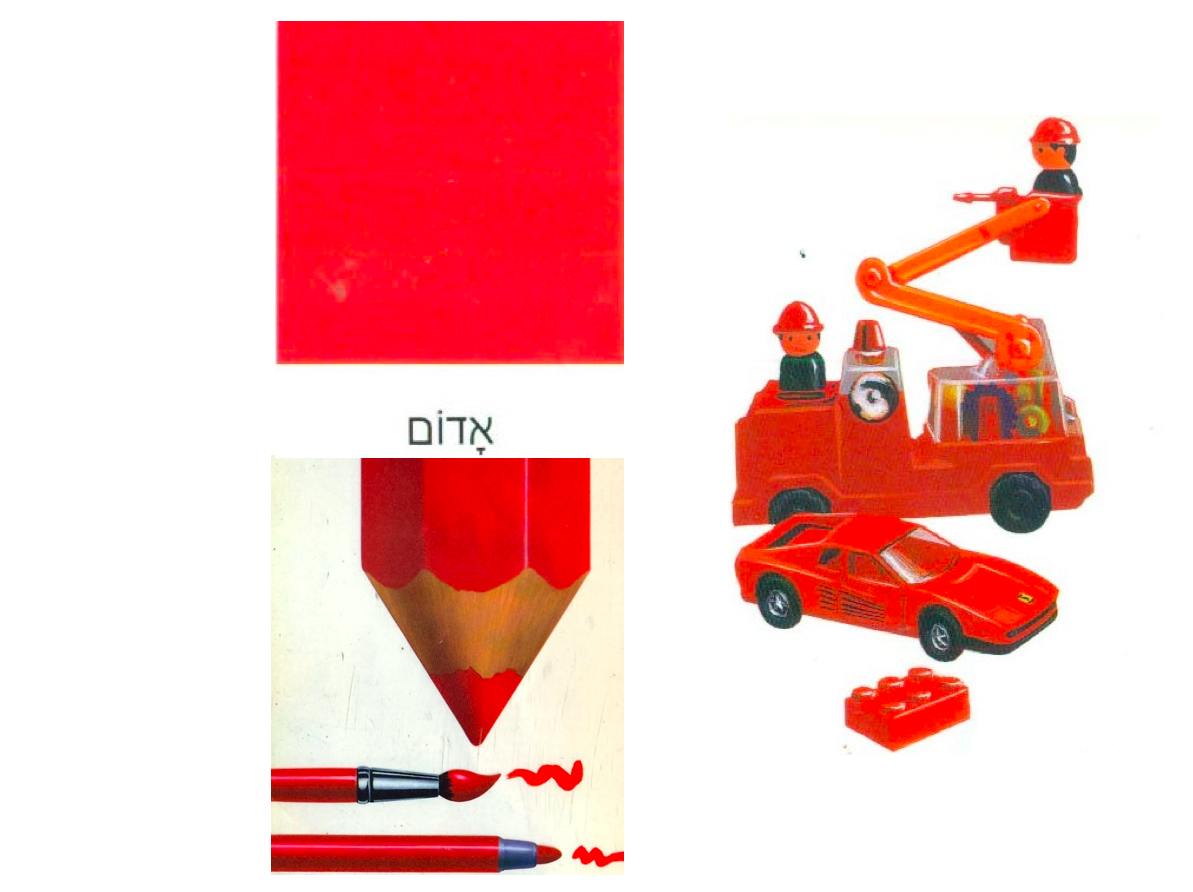 צבעי היסוד by chen gil - Illustrated by אור וחן - Ourboox.com