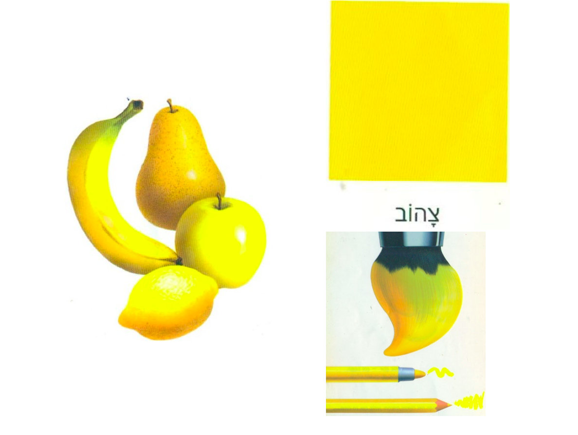 צבעי היסוד by chen gil - Illustrated by אור וחן - Ourboox.com