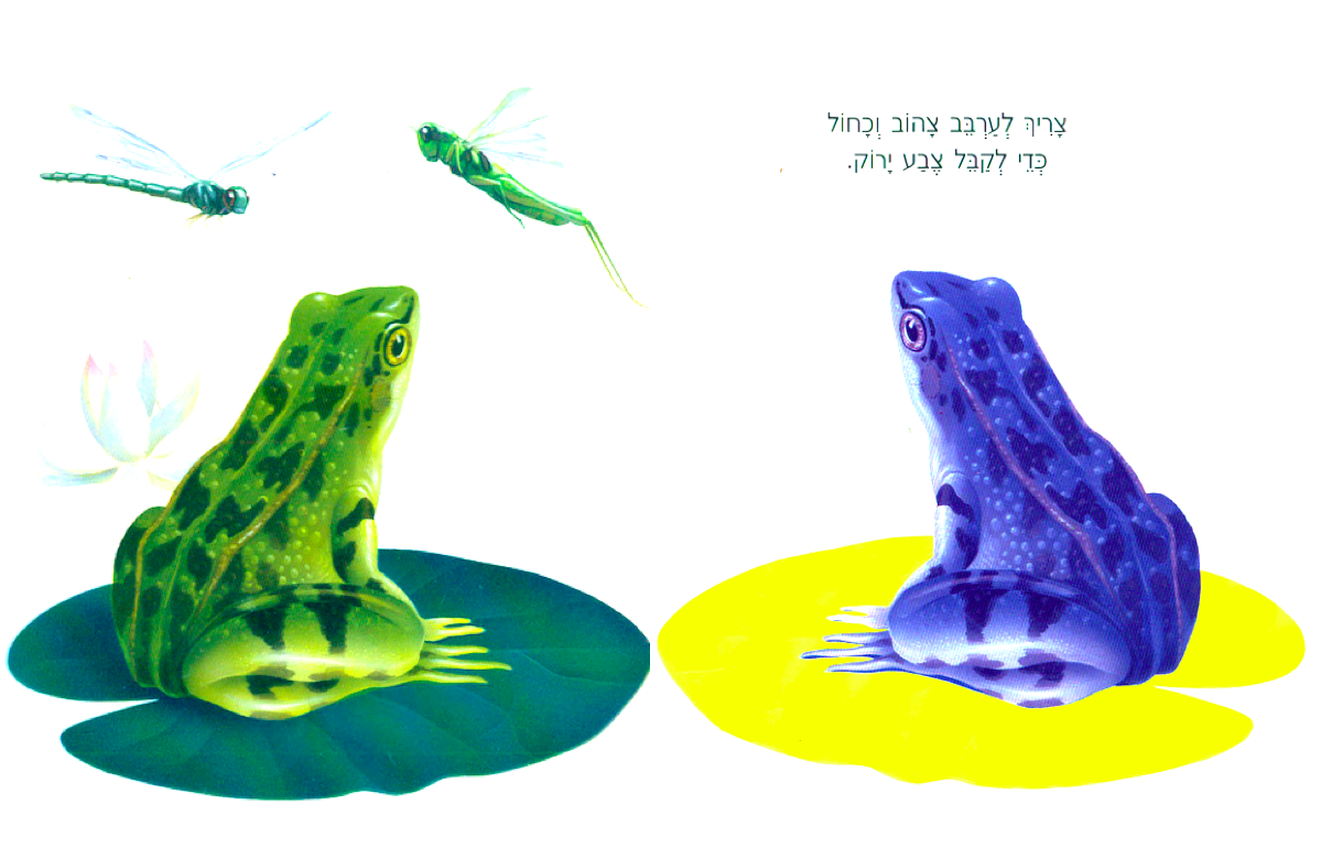 צבעי היסוד by chen gil - Illustrated by אור וחן - Ourboox.com