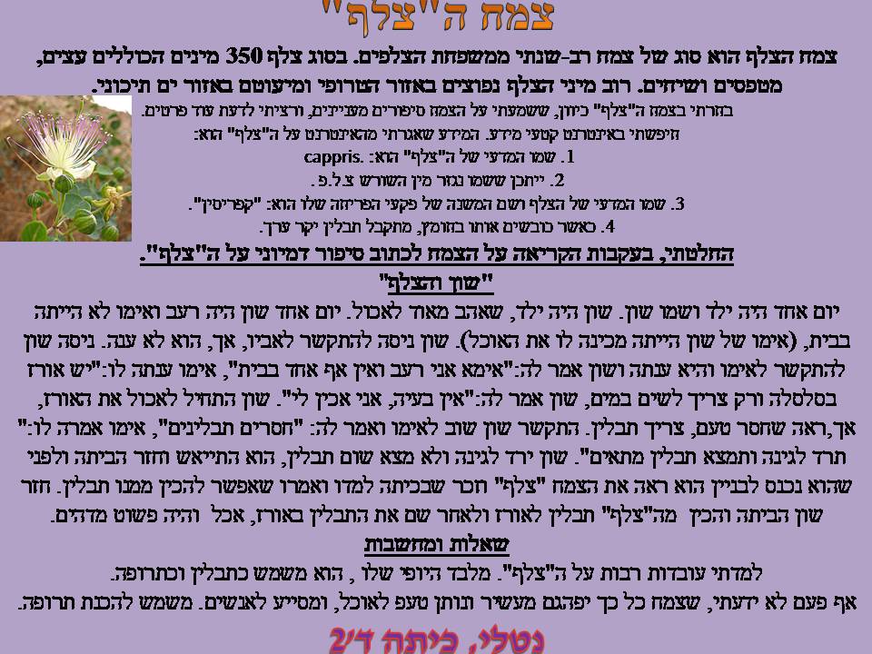 אקדמיה: כתבים צעירים כתות ג, ד by young writers - Illustrated by חברי ועדת אקדמיה כתבים צעירים - Ourboox.com