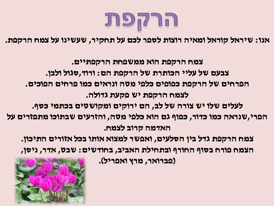 אקדמיה: כתבים צעירים כתות ג, ד by young writers - Illustrated by חברי ועדת אקדמיה כתבים צעירים - Ourboox.com