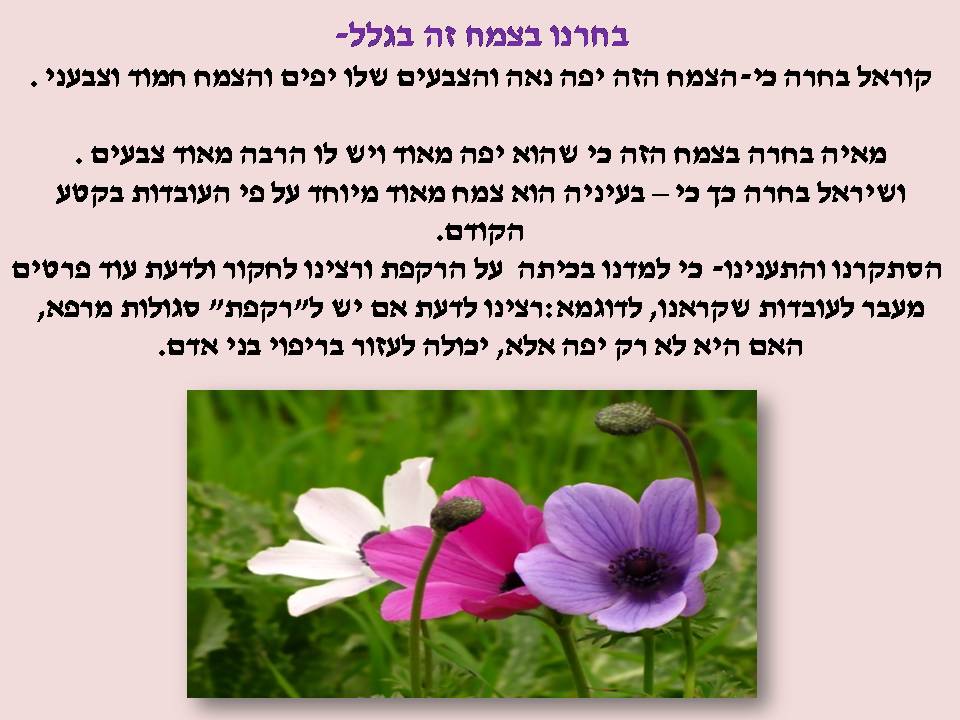 אקדמיה: כתבים צעירים כתות ג, ד by young writers - Illustrated by חברי ועדת אקדמיה כתבים צעירים - Ourboox.com