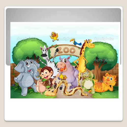 Visit A ZOO by Lehava Or Yehuda - Ourboox.com