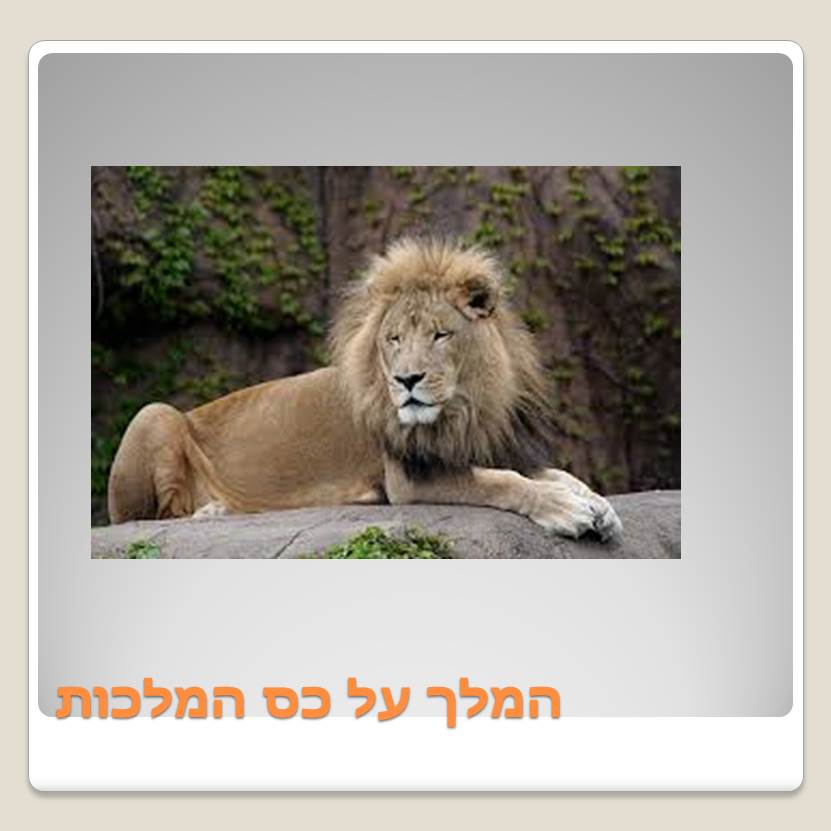 Visit A ZOO by Lehava Or Yehuda - Ourboox.com