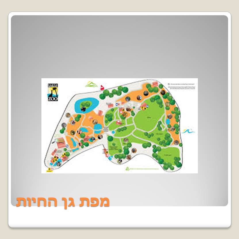Visit A ZOO by Lehava Or Yehuda - Ourboox.com