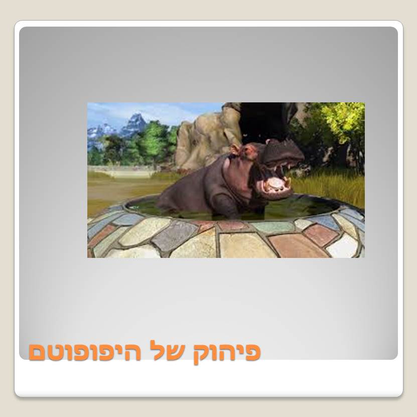 Visit A ZOO by Lehava Or Yehuda - Ourboox.com
