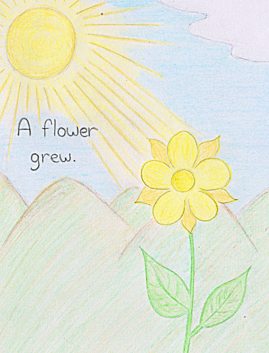 The Tiny Yellow Flower by Tom Oriya Cohen - Ourboox.com