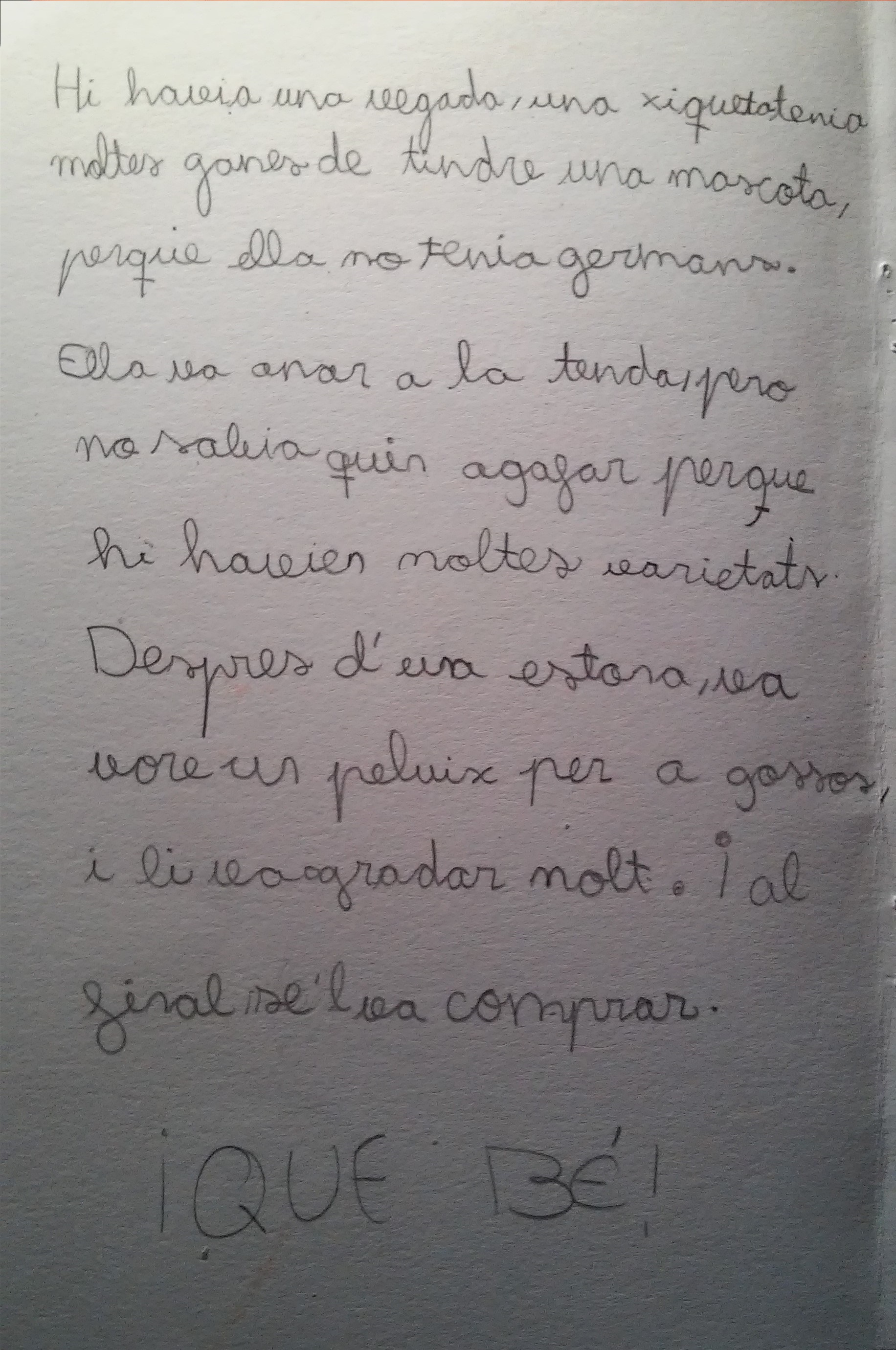 ÀLBUMS IL·LUSTRATS by alumnes de 4t A - Ourboox.com