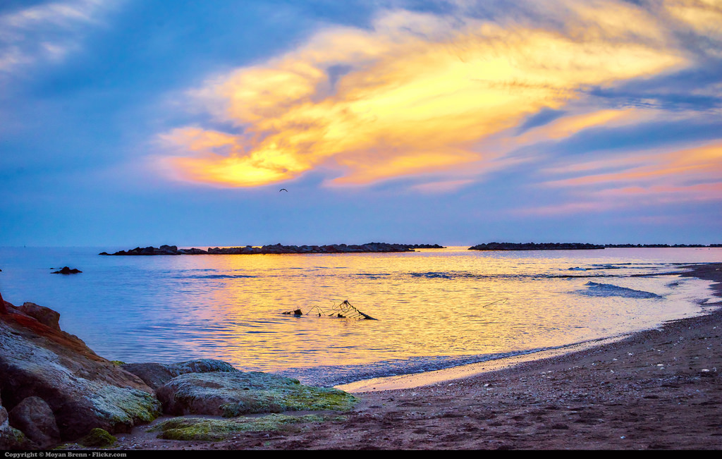 Mi Vida en 2025 by Max Smithberg - Ourboox.com