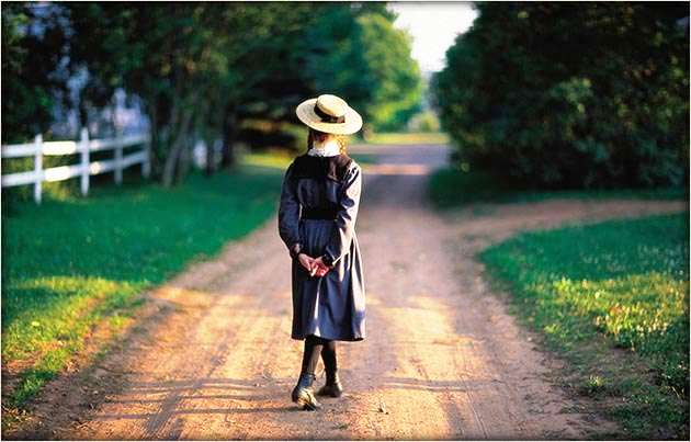 הנפילה by Noy Fried - Ourboox.com