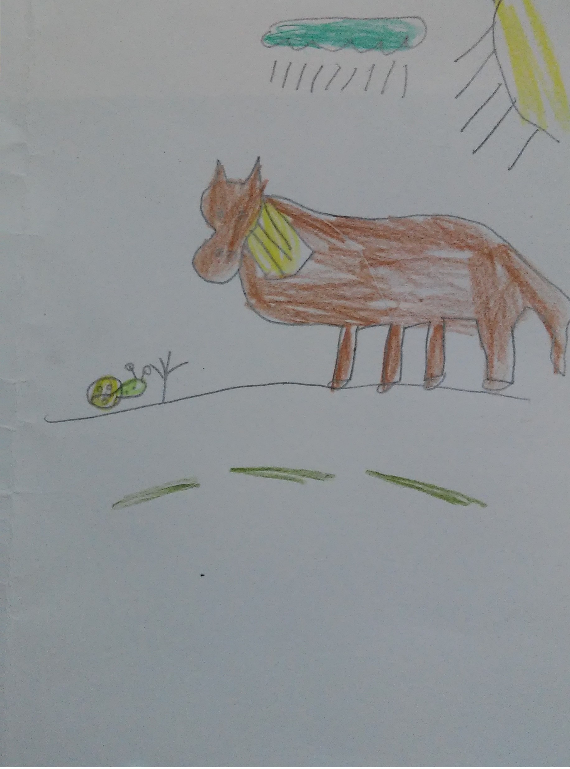 ÀLBUMS IL·LUSTRATS by alumnes de 4t A - Ourboox.com