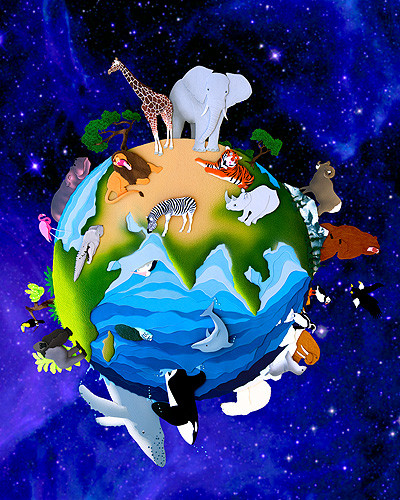 סביבות מחייה של בעלי החיים by קרן שפסה - Ourboox.com