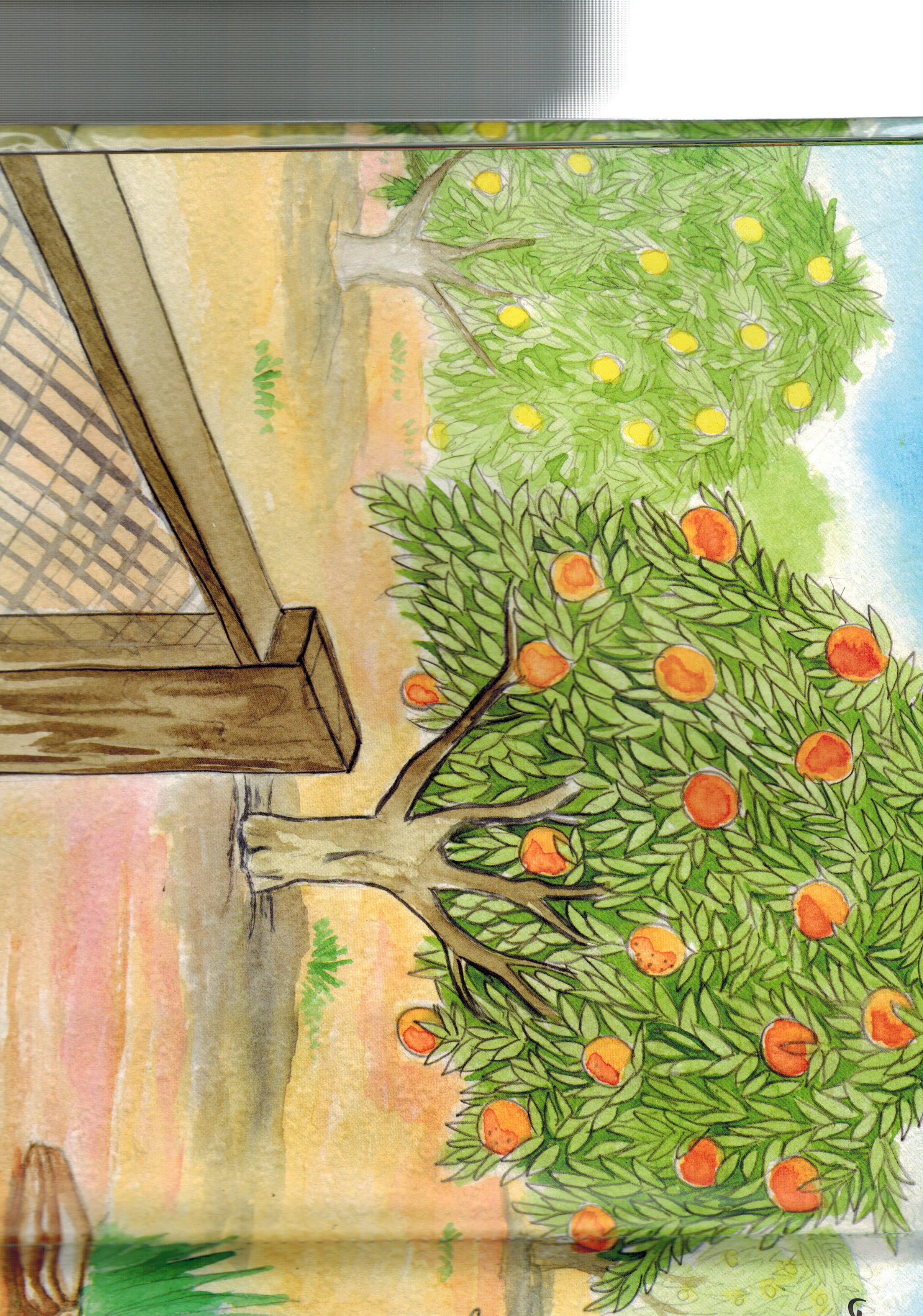 القطة by ola abed elhalem - Ourboox.com