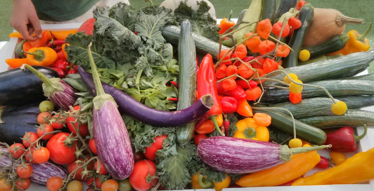 עולם בצבעים by tamar avni - Ourboox.com