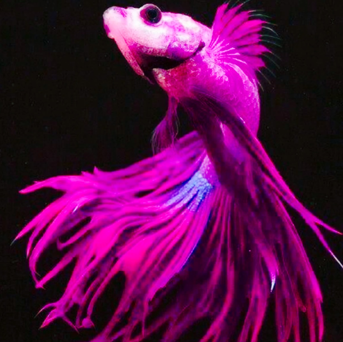 One by stella ormai - Ourboox.com