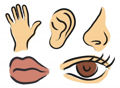 5 החושים by dani - Ourboox.com