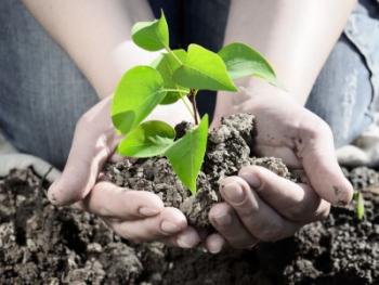 נעלי בלט נואל סטריטפילד by Valeria Turkin - Illustrated by ולריה טורקין - Ourboox.com