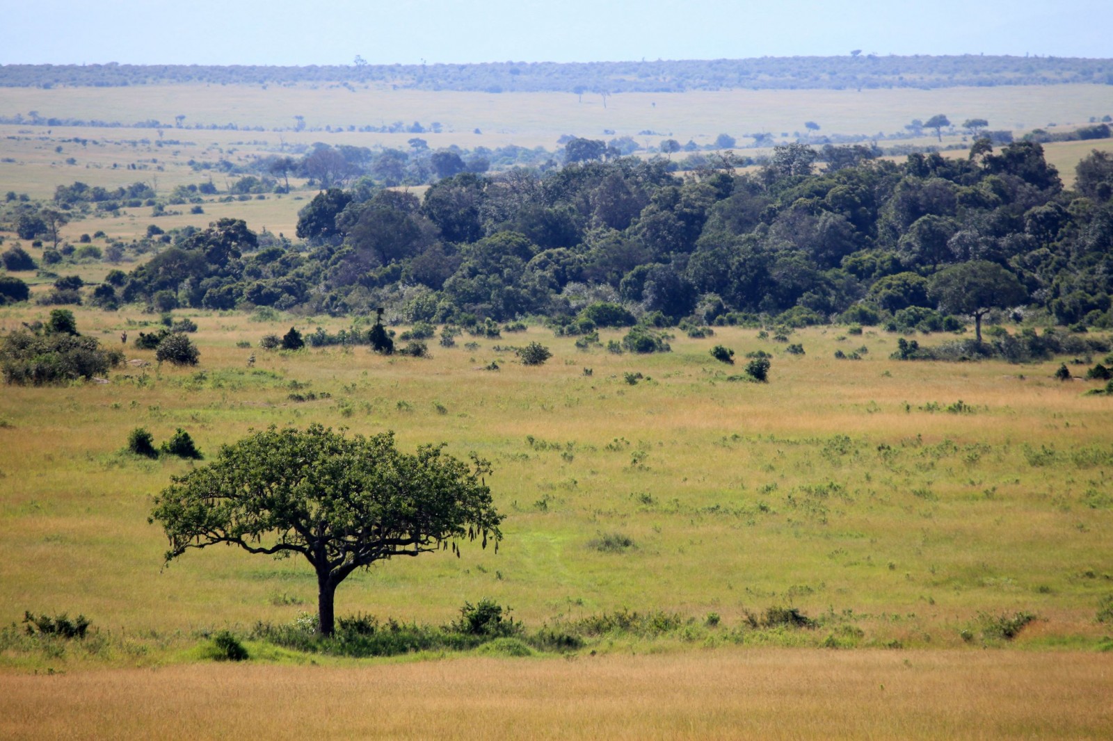 סביבות מחייה של בעלי החיים by קרן שפסה - Ourboox.com
