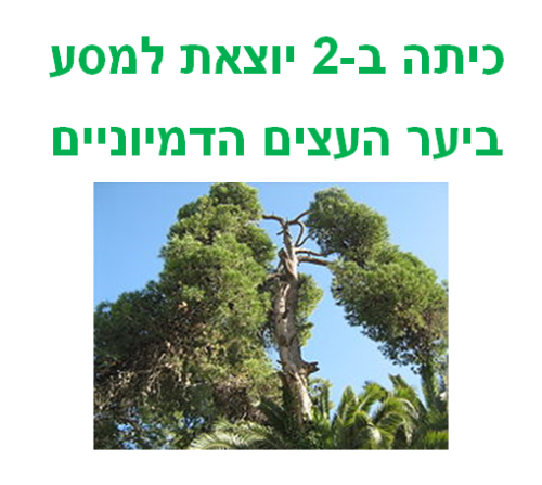 כיתה ב-2 יוצאת למסע ביער העצים הדימיוניים by עינב מסיקה - Illustrated by מחנכת הכיתה עינב והתלמידים - Ourboox.com